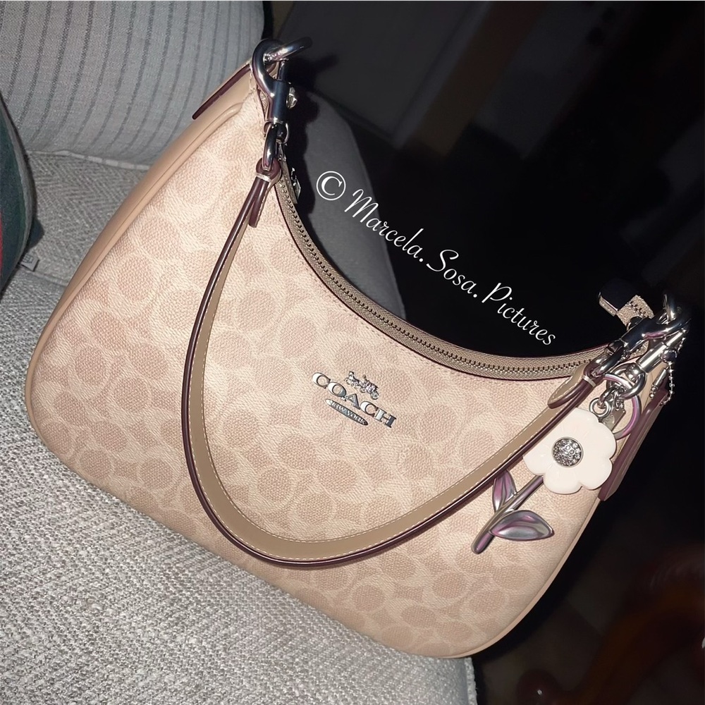Coach Teri Hobo Bag